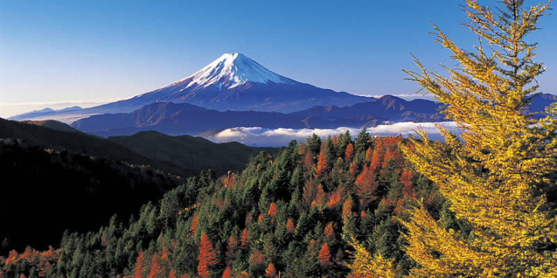 Mt. Fuji from Mt. Daibosatsu