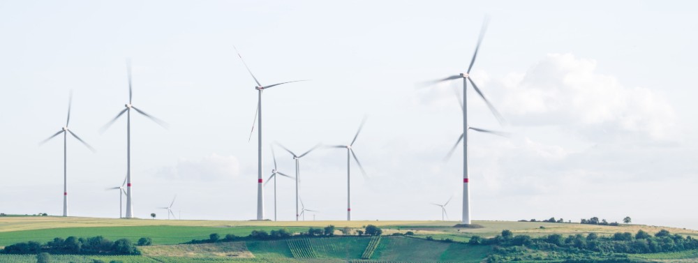 Wind energy has huge untapped potential in Japan