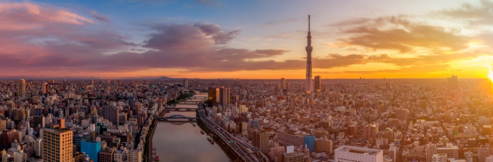 Tokyo is a massive metropolis of 14 million people.