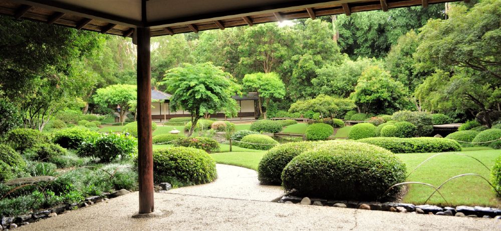 A traditional Japanese garden is beautiful – and very high maintenance.