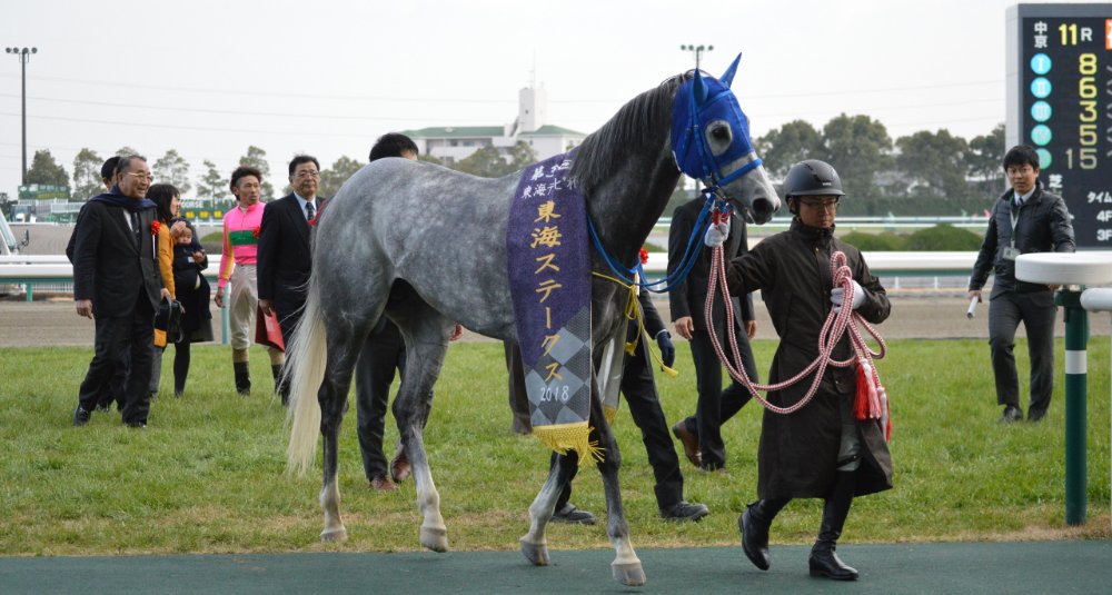 T M Jinsoku, winner of the Tokai Stakes in 2018, ridden by Yoshihiro Furukawa.