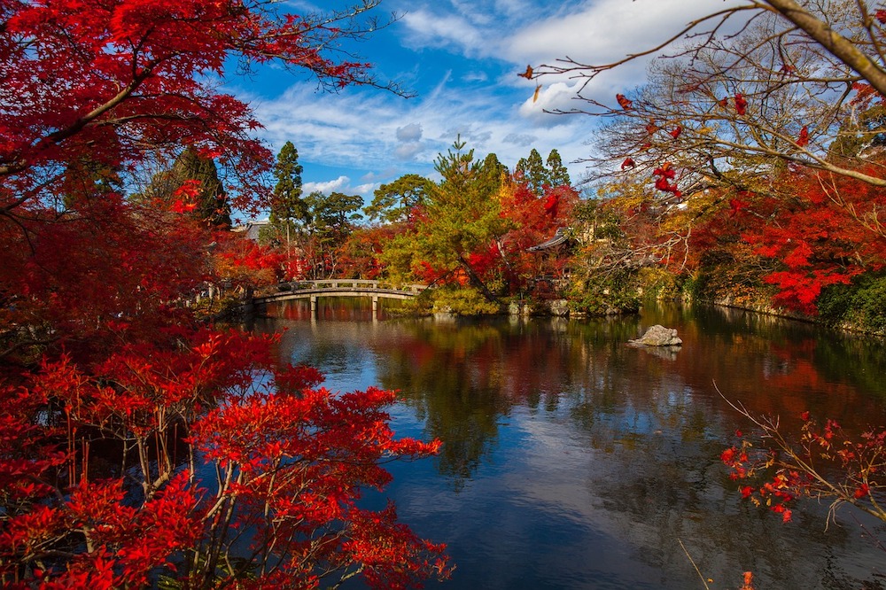 Japan's cultural landscape is as vibrant and colorful as its natural landscape.