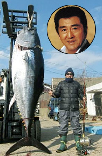 Matsukata Hiroki, Giant Maguro