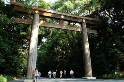 A giant torii gate at Meiji Shrine